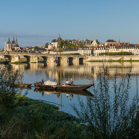 Le Wilson - Vue Imprenable Sur La Loire Et Le Chateau De Блоа Екстериор снимка