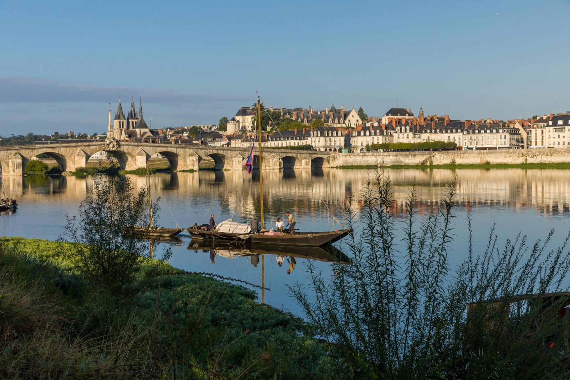Le Wilson - Vue Imprenable Sur La Loire Et Le Chateau De Блоа Екстериор снимка
